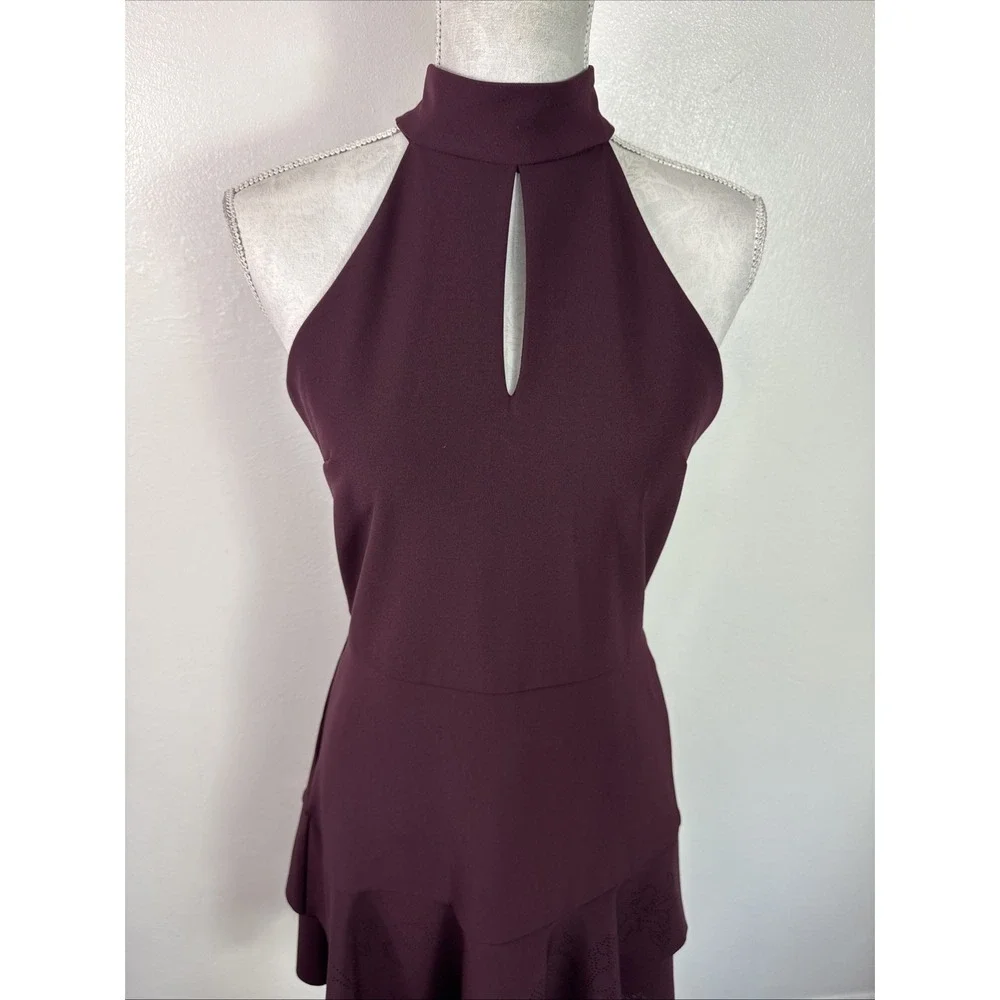 Parker Luana Women's 10 Mini Dress Sleeveless Laser Cut Design Tiered Burgundy E